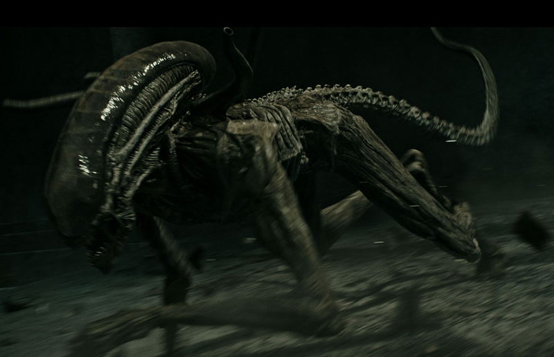 Alien: Covenant [Blu-ray+DVD+Digital HD] image 13