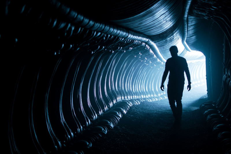 Alien: Covenant [Blu-ray+DVD+Digital HD] image 9
