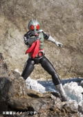S.H.Figuarts Shinkocchou Seihou Kamen Rider W: Kamen Rider New 1 thumbnail 8