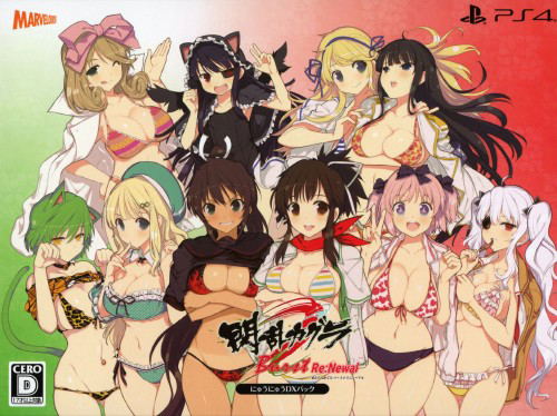 Senran Kagura Burst Re:Newal [Nyuu Nyuu DX Pack] [Limited Edition] image 2