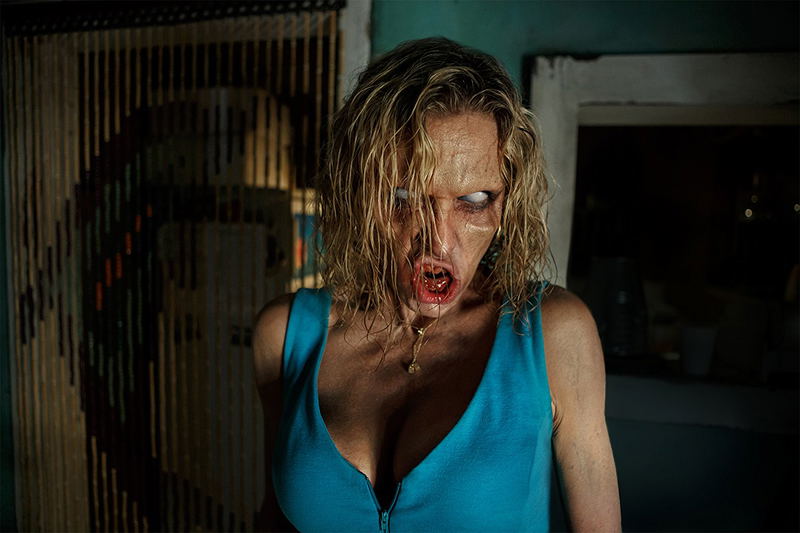 Ash Vs. Evil Dead: Season 2 image 3