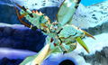 Monster Hunter Stories thumbnail 13