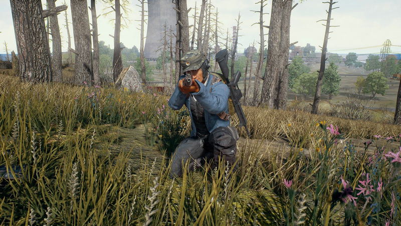 PUBG: BATTLEGROUNDS <span class="ext" style="background-color: #2a475e; color: #FFFFFF;">STEAM</span> <span class="ext ext_digital">digital</span> image 6