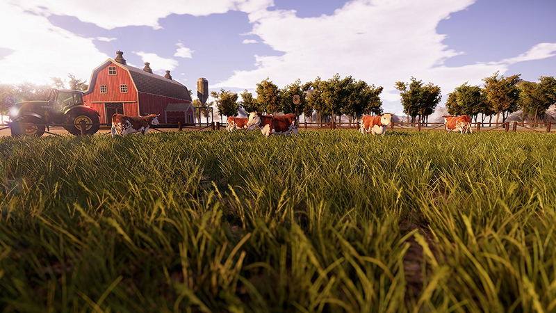 Real Farm image 8
