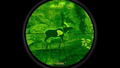 Deer Hunter Reloaded thumbnail 11