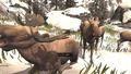 Deer Hunter Reloaded thumbnail 12