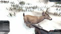 Deer Hunter Reloaded thumbnail 8