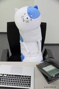 Himouto! Umaru-chan Big Plush: Nekoronbus thumbnail 5