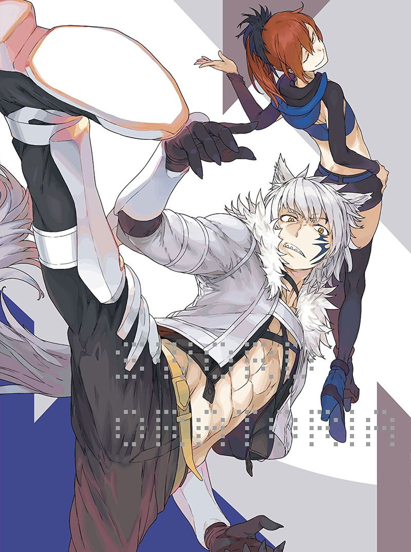 Is It Wrong to Try to Pick Up Girls in a Dungeon?, Vol. 3