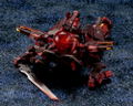 Phantasy Star Online 2 1/72 Scale Model Kit: A.I.S Exoda thumbnail 7