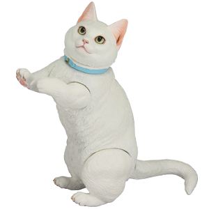 Soft Vinyl Toy Box 016B White Cat Munchkin