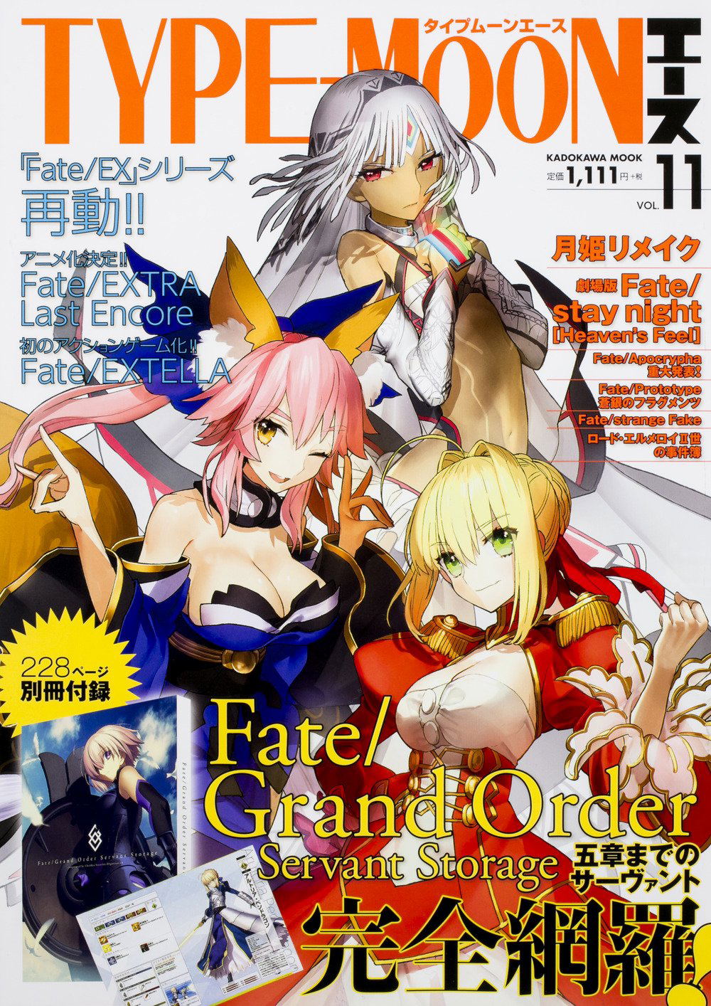 Type-Moon Ace Vol.11
