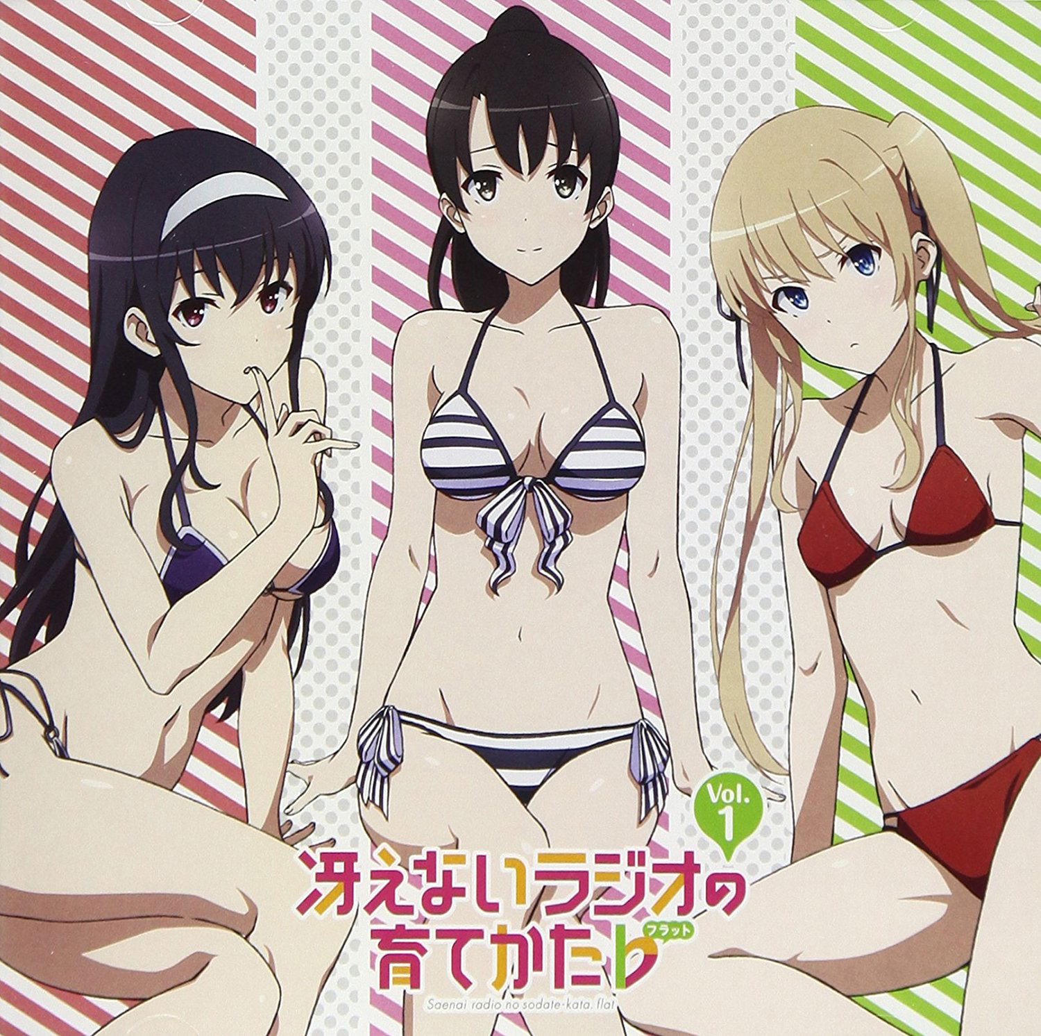 Saenai Radio No Sodatekata Flat Vol.1 [CD+CD-ROM] — Import Game Deal