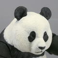Soft Vinyl Toy Box 03 Giant Panda (Re-run) thumbnail 8