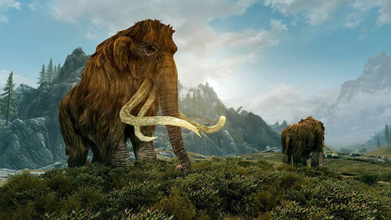 The Elder Scrolls V: Skyrim image 7