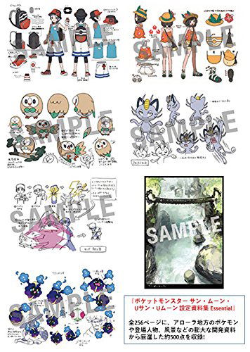 Pokemon Ultra Sun Ultra Moon Essential Setting Information image 3
