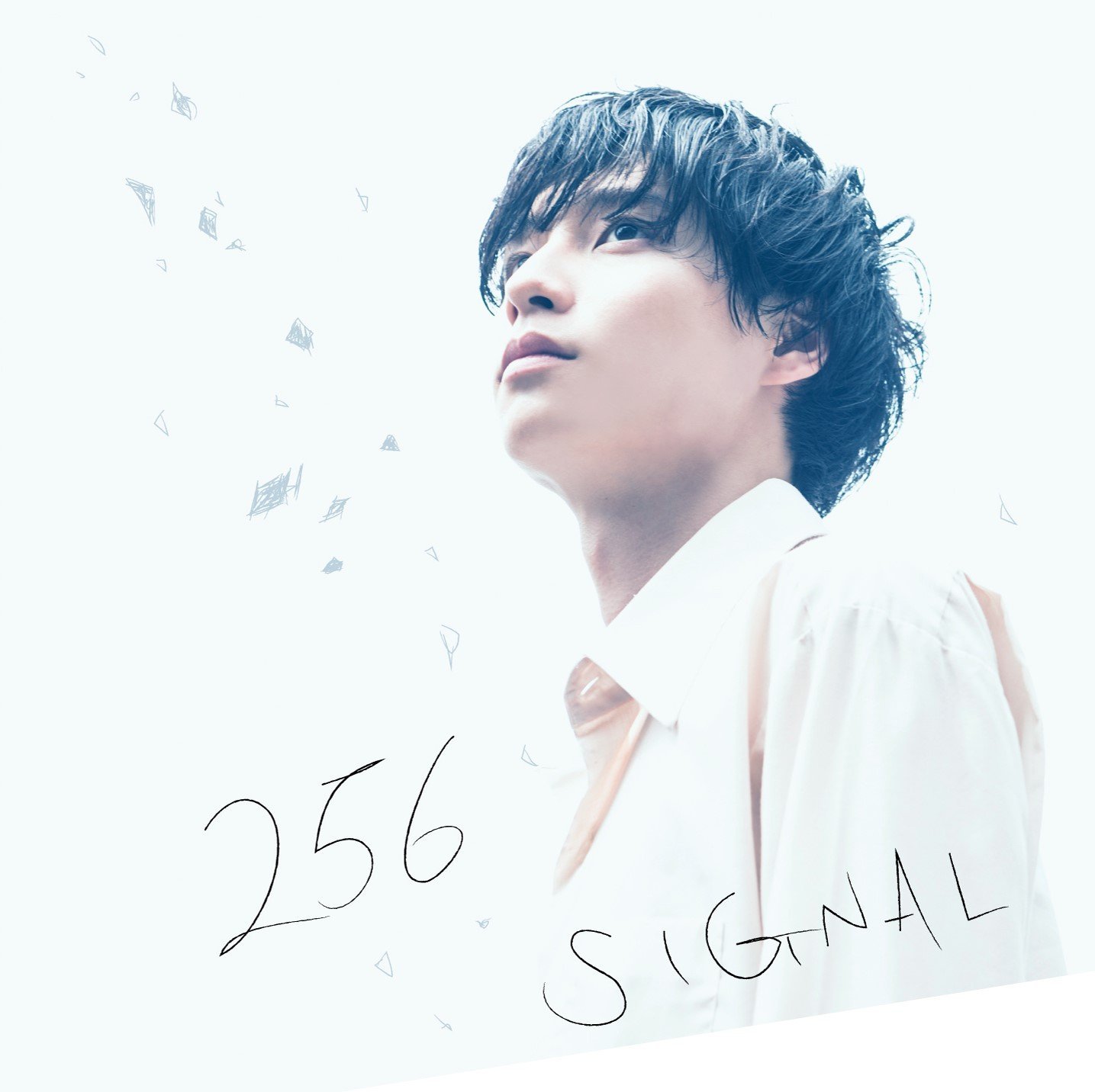 Signal — Import Game Deal