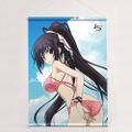 Infinite Stratos Original Illustration B2 Wall Scroll: Houki / Beach thumbnail 1