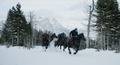 War For The Planet Of The Apes [DVD+Digital HD] thumbnail 2