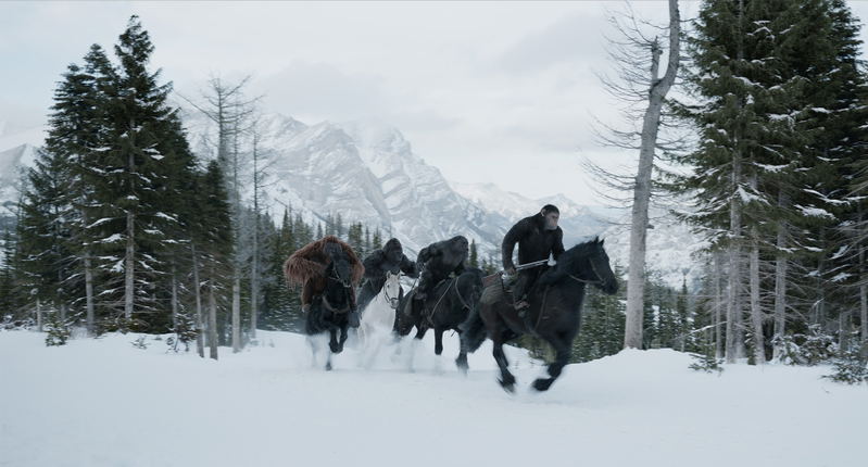 War For The Planet Of The Apes [DVD+Digital HD] image 2