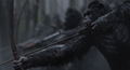 War For The Planet Of The Apes [DVD+Digital HD] thumbnail 5