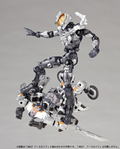 Assemble Borg Nexus No. 020: Assemble Borg Nexus (Re-run) thumbnail 26