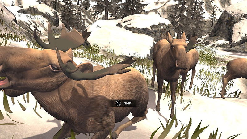 Deer Hunter Reloaded image 12