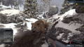 Deer Hunter Reloaded thumbnail 13