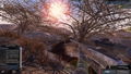Deer Hunter Reloaded thumbnail 16