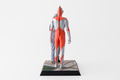 Ultraman 1/12 Scale Polystone Statue: Eiji Tsuburaya & Ultraman thumbnail 5