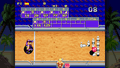 Windjammers <span class="ext ext_digital">digital</span> thumbnail 9