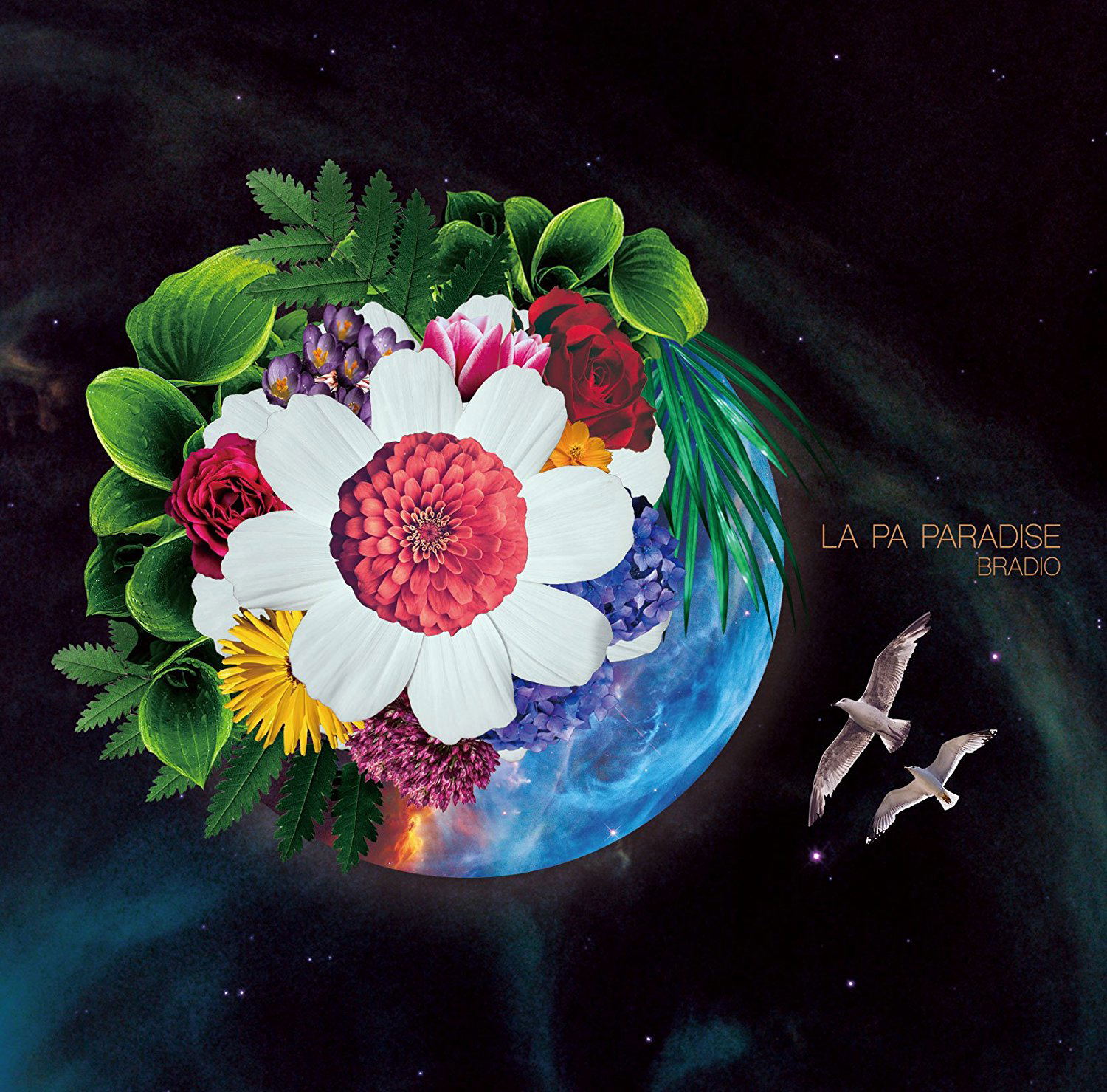 La Pa Paradise [CD+DVD Limited Edition] — Import Game Deal