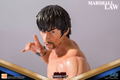 Tekken 5 Dark Resurrection 1/4 Scale Statue: Marshall Law thumbnail 25