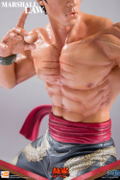 Tekken 6 1/4 Scale Statue: Marshall Law thumbnail 11