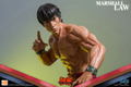 Tekken 6 1/4 Scale Statue: Marshall Law thumbnail 19