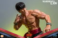 Tekken 6 1/4 Scale Statue: Marshall Law thumbnail 20