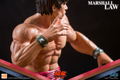 Tekken 6 1/4 Scale Statue: Marshall Law thumbnail 21