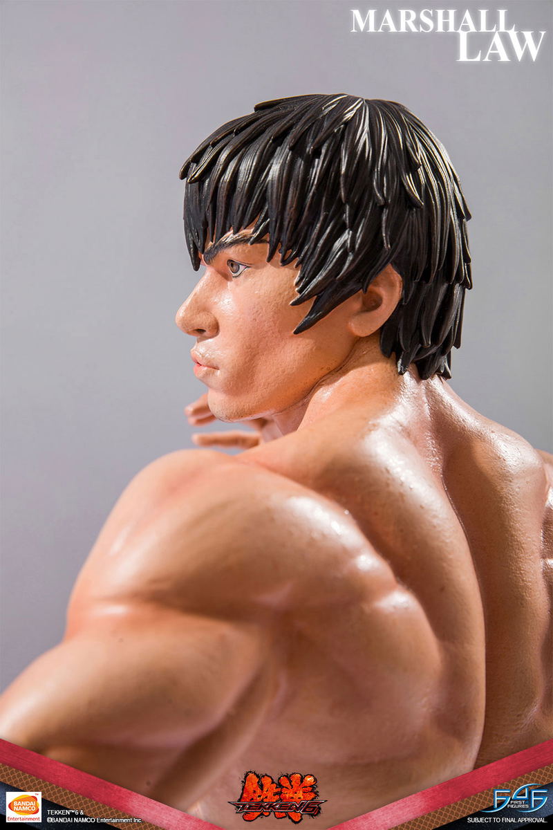 Tekken 6 1/4 Scale Statue: Marshall Law image 9
