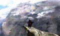 Monster Hunter XX (Best Price) thumbnail 14
