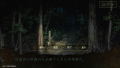 Shiin thumbnail 17