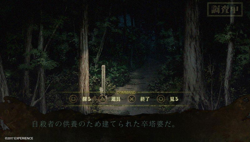 Shiin image 17
