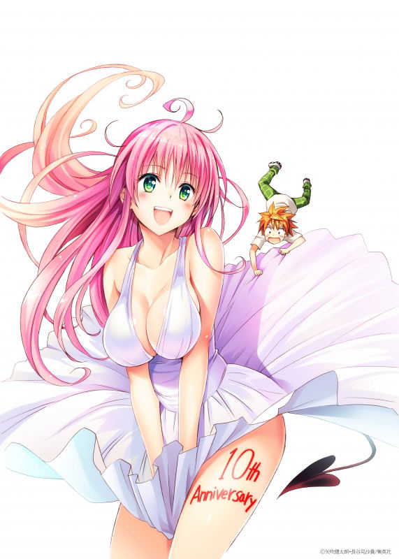 To Love-Ru -Trouble- Series 10th Anniversary Book [Collector's Edition Comics] image 2