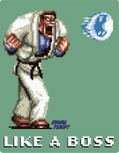 Jaleco Brawler's Pack thumbnail 6