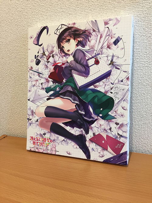 Saekano: How To Raise A Boring Girlfriend Flat Canvas Art: Megumi Kato image 3