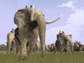 Rome: Total War (Gold Edition) <span class="ext" style="background-color: #2a475e; color: #FFFFFF;">STEAM</span> <span class="ext ext_digital">digital</span> thumbnail 5