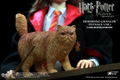 Star Ace Toys My Favorite Movie Series Harry Potter and the Prisoner of Azkaban 1/6 Scale Collectible Action Figure: Hermione Granger Teenage Edition (School Uniform) thumbnail 5