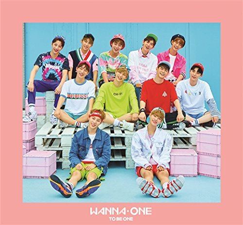 1x1=1 (To Be One) Japan Edition (Pink Ver.) [CD+DVD] (Wanna One)