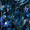 Oneness M [SHM-CD] thumbnail 1