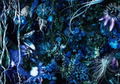 Oneness M [SHM-CD Limited Edition] thumbnail 1
