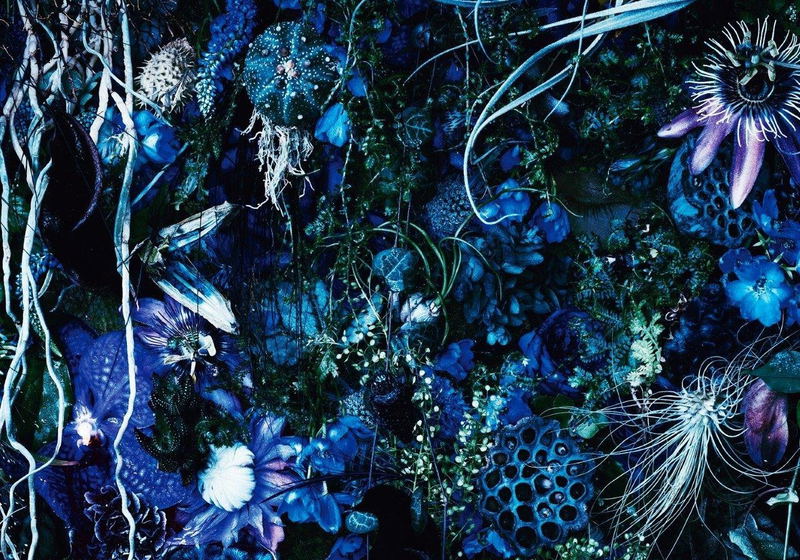 Oneness M [SHM-CD Limited Edition] image 1